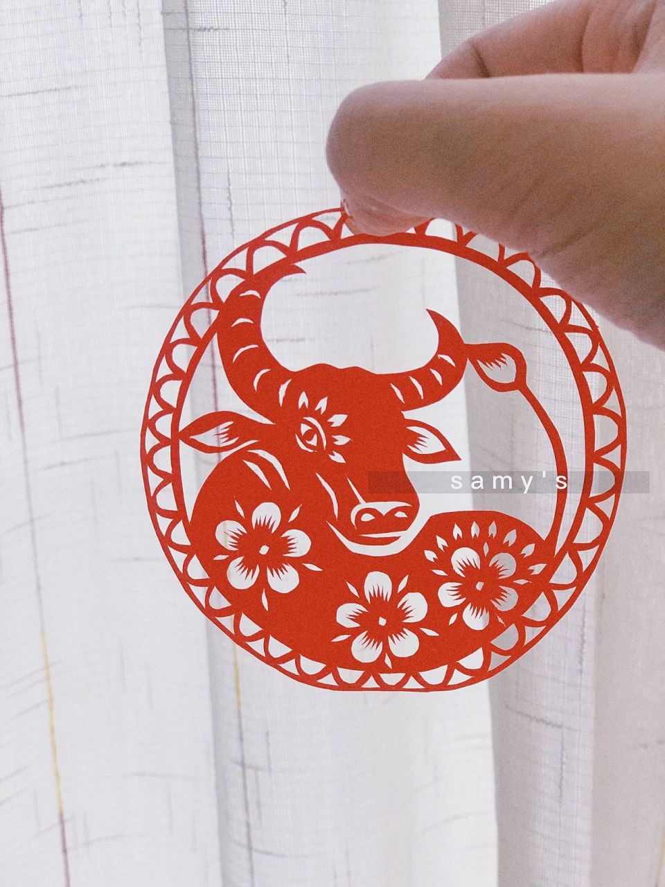 剪纸教程|十二生肖剪纸—牛 (附上底图)