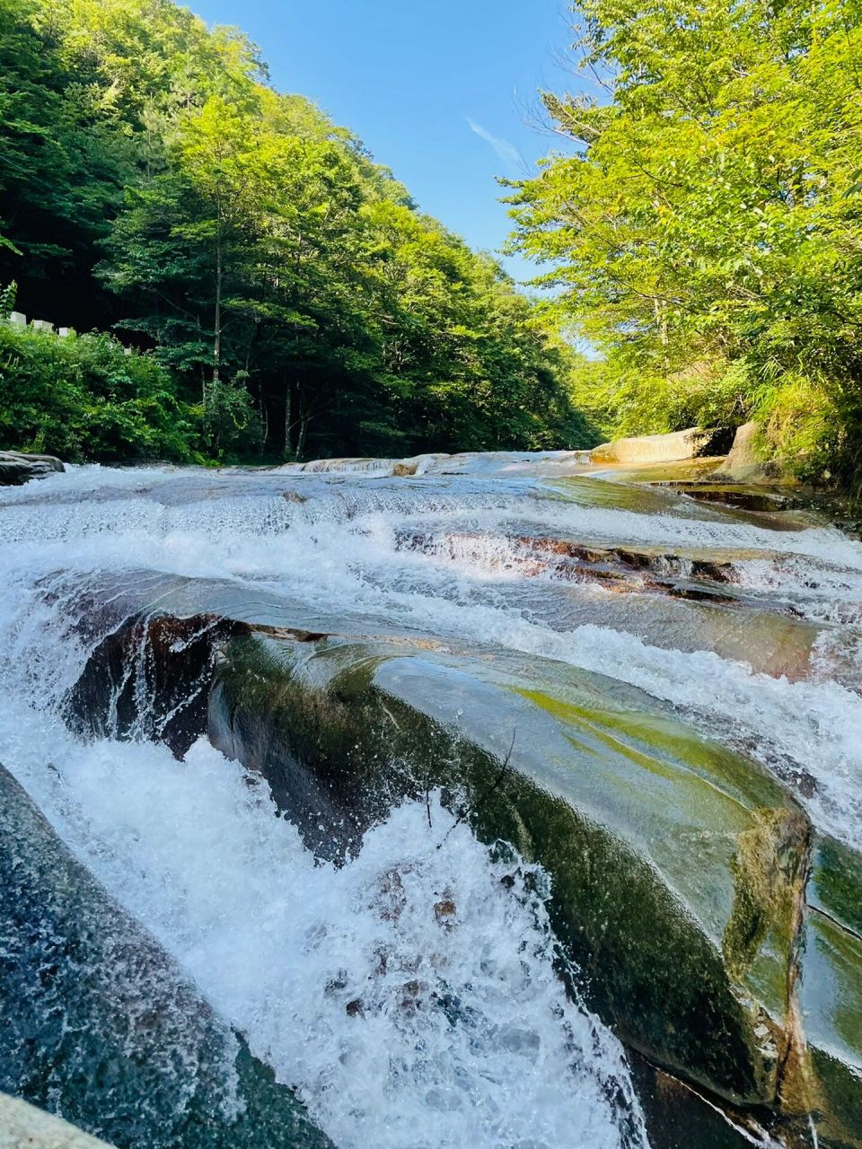 包邮区的避暑胜地|鹞落坪  鹞落坪地处大别山主峰,生态环境十分丰富