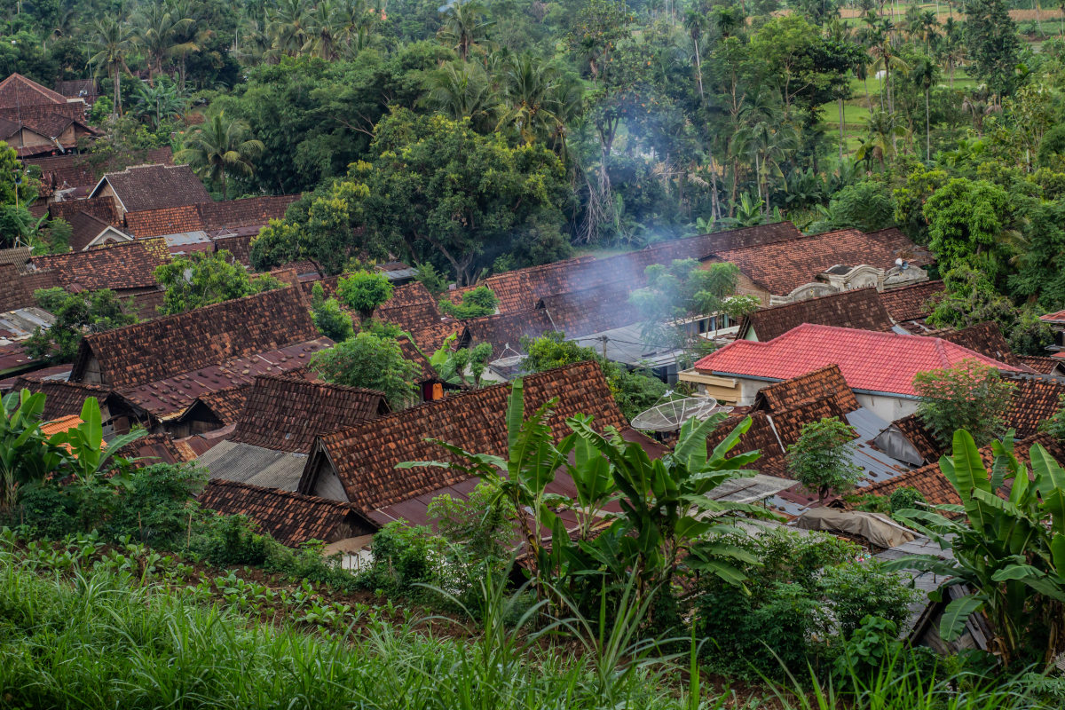 宝子们,你们听过普洱的景迈山吗?