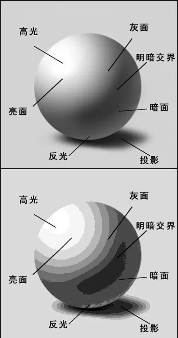 零基础素描学习