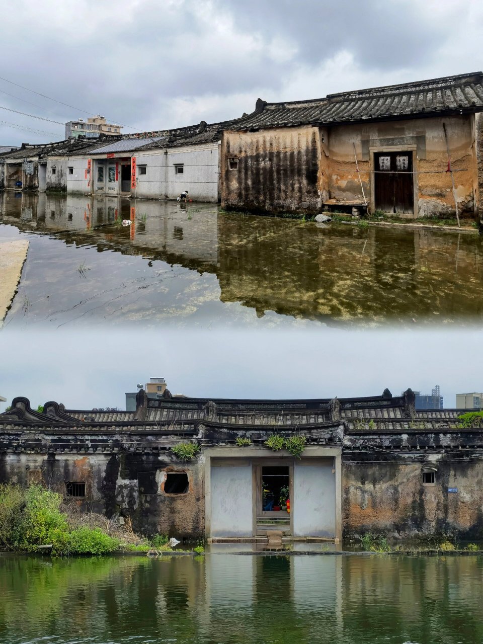 2023年乡村打卡～～～白塔镇桐坑村 一提起桐坑村,就想起了美味的鹅肉