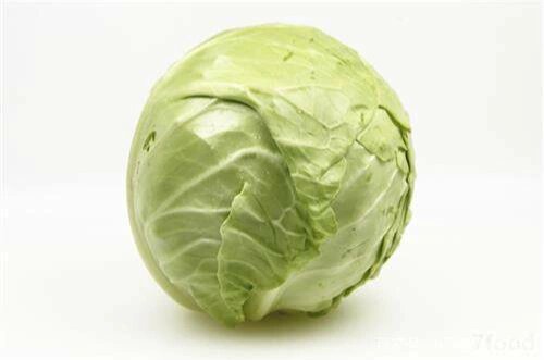 分批栽培错峰采收 雅安市名山区粮油现代农业园区包菜抢“鲜”上市 ！