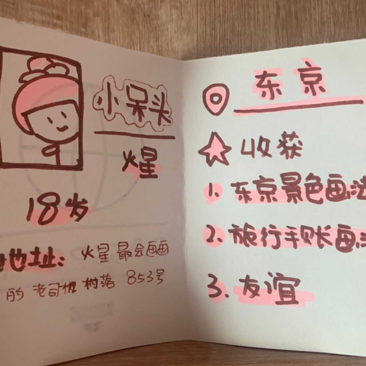 手工简笔画护照 一本手工简笔画护照 #画个简笔画