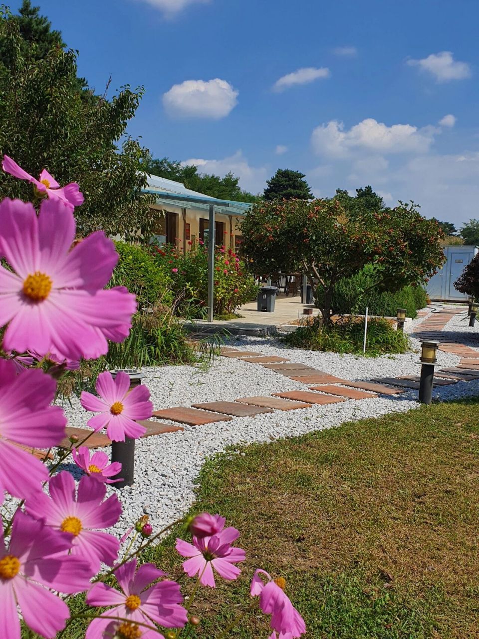 沈阳棋盘山旁绝美民宿小院 小众私密网红打卡地 棋盘山旁漂亮的云间