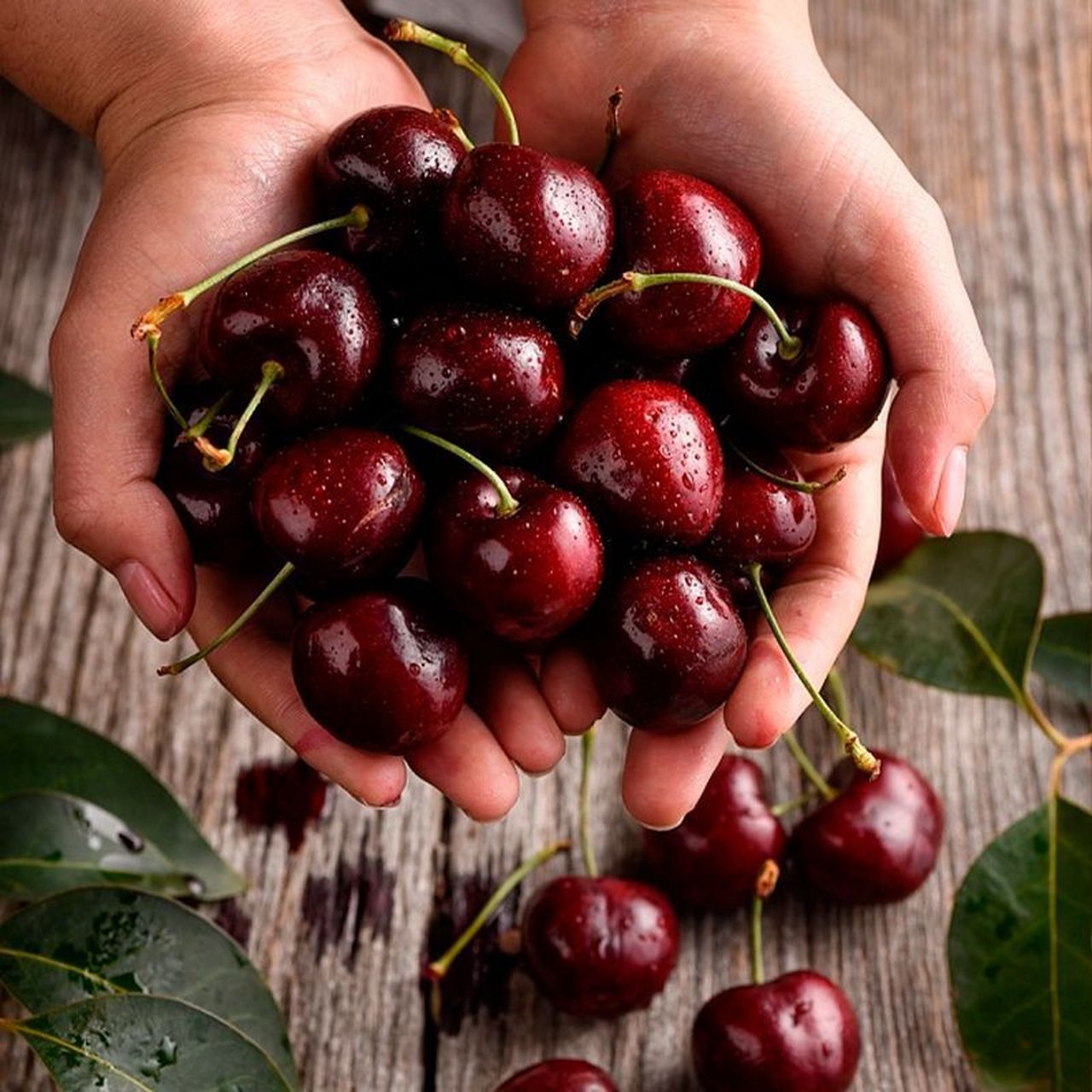 航空冷链直达 山东美早大樱桃车厘子 3斤大果23.