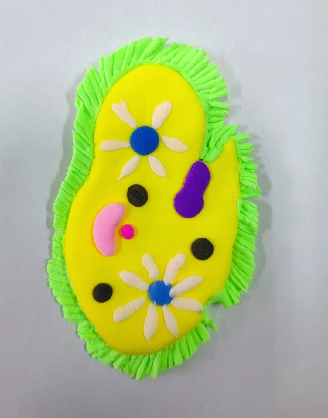 初中生物—草履虫模型制作