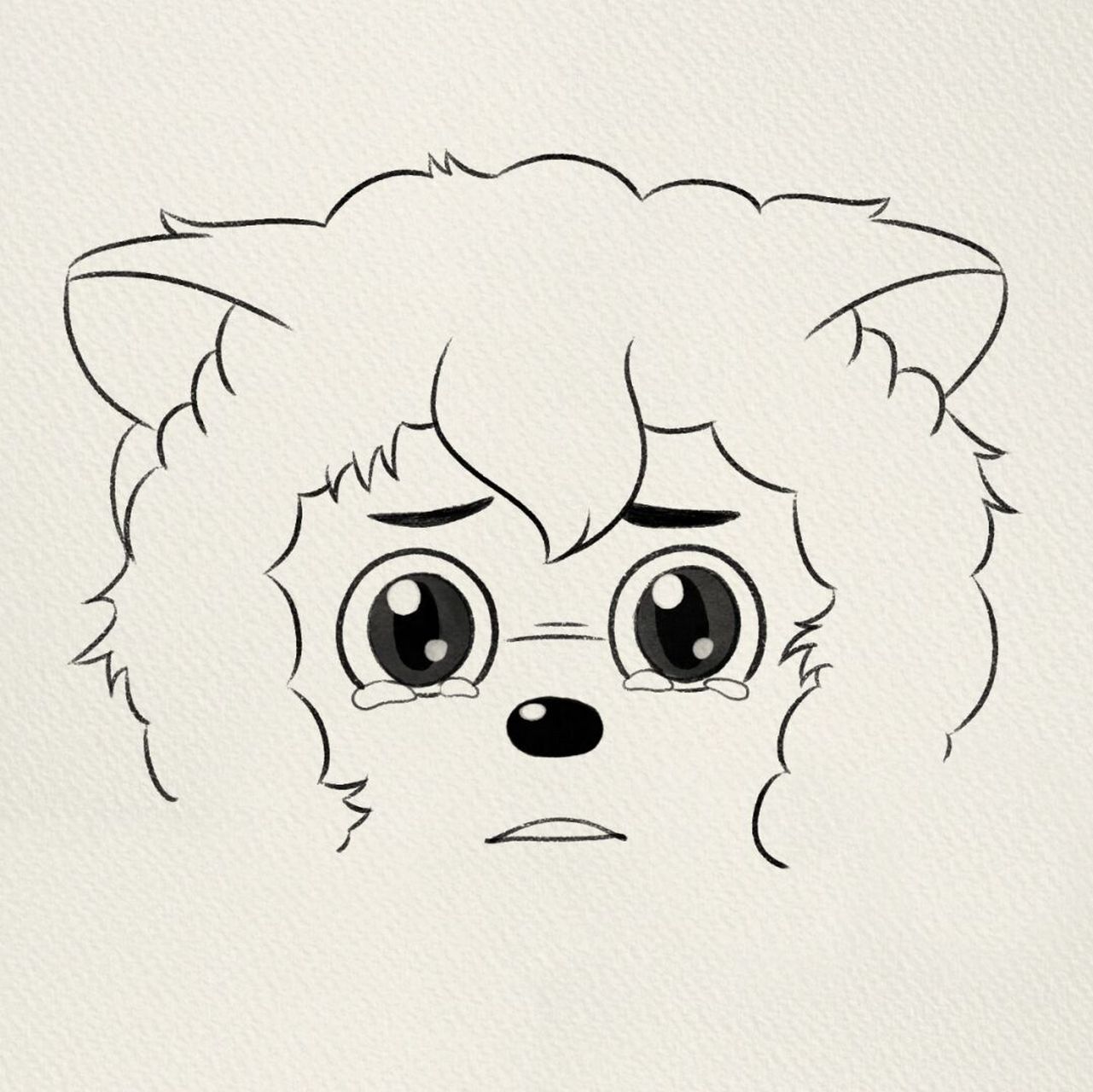 这是谁家的猫啊 #简笔画教程# #简笔画# #画个简笔画# #喜洋洋# #寻找