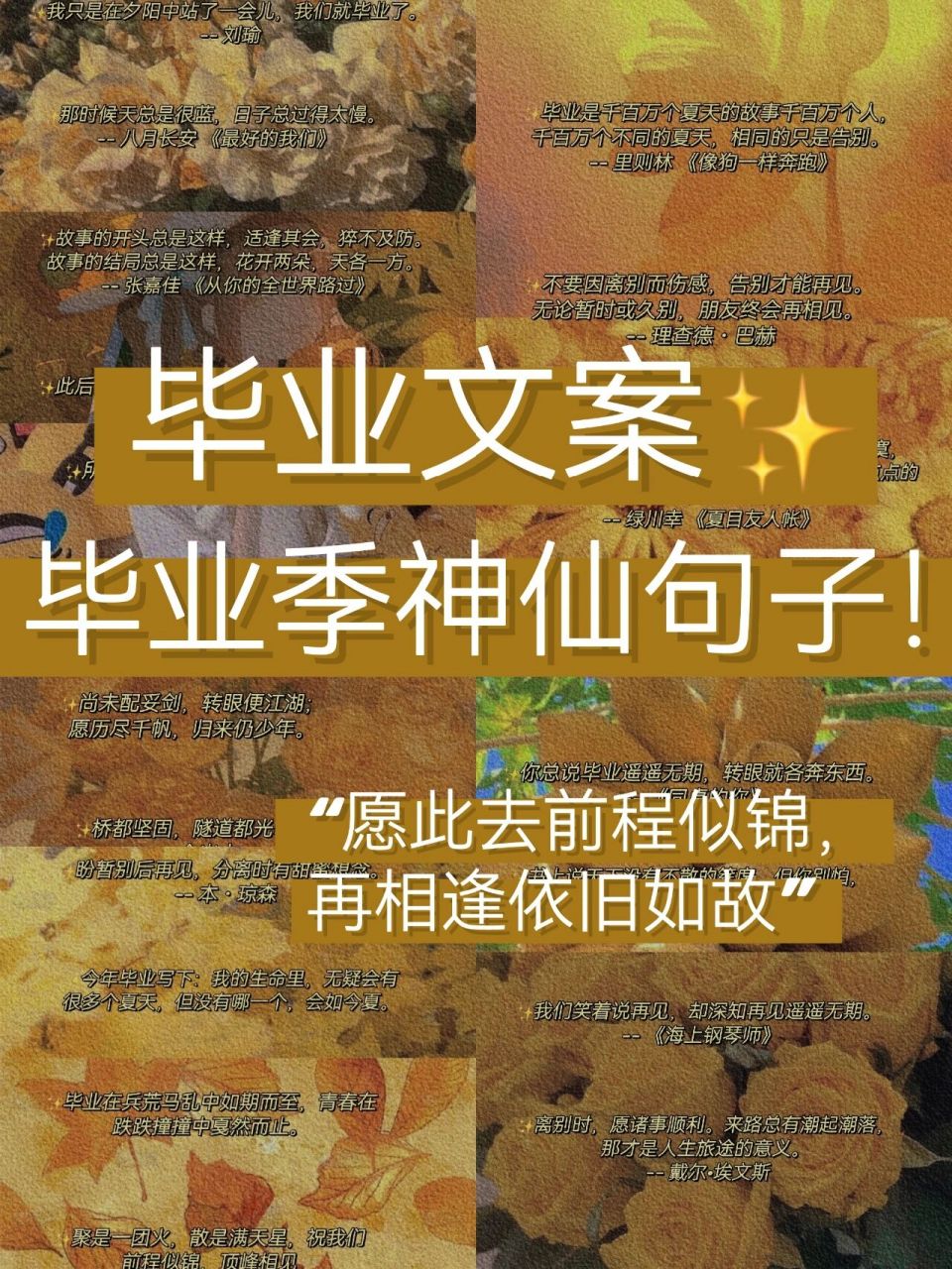 今天给大家分享的是一些毕业文案,毕业季的神仙句子!