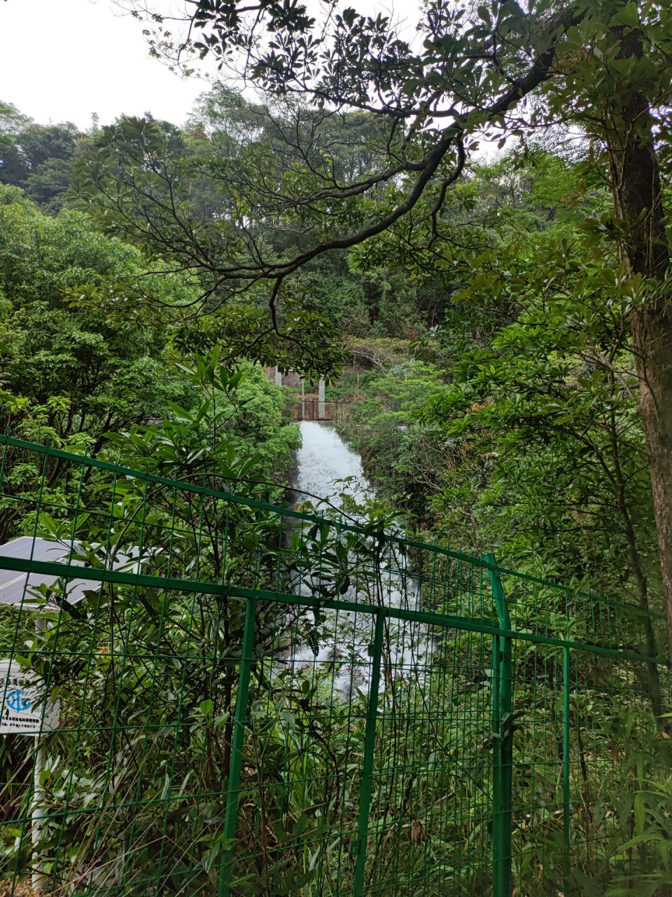 揭露白水寨9999阶梯 大概是4399阶梯后,就没有刻阶梯数了 天池是个