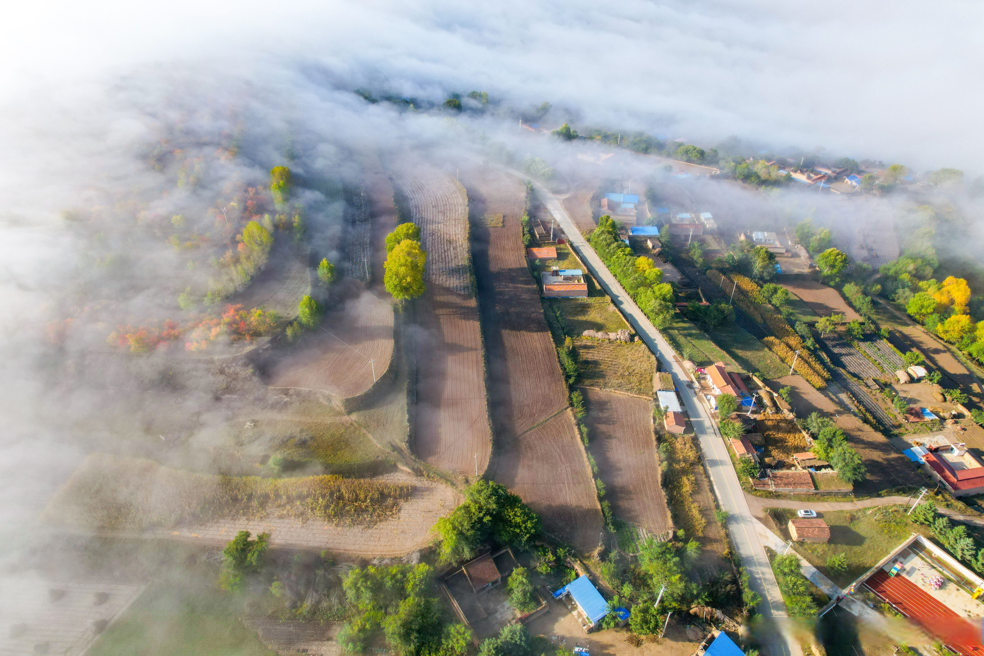 会宁杨湾小学山顶风光