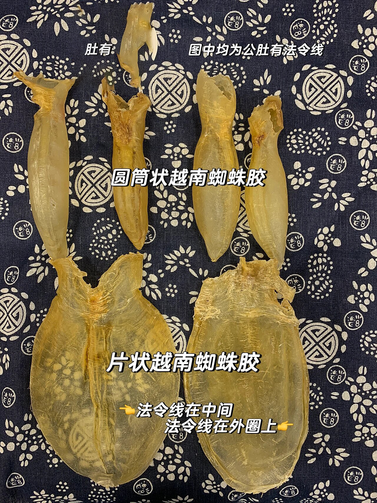 科普7215分清越南蜘蛛胶等蜘蛛胶"替身"91 越南蜘蛛胶是真的