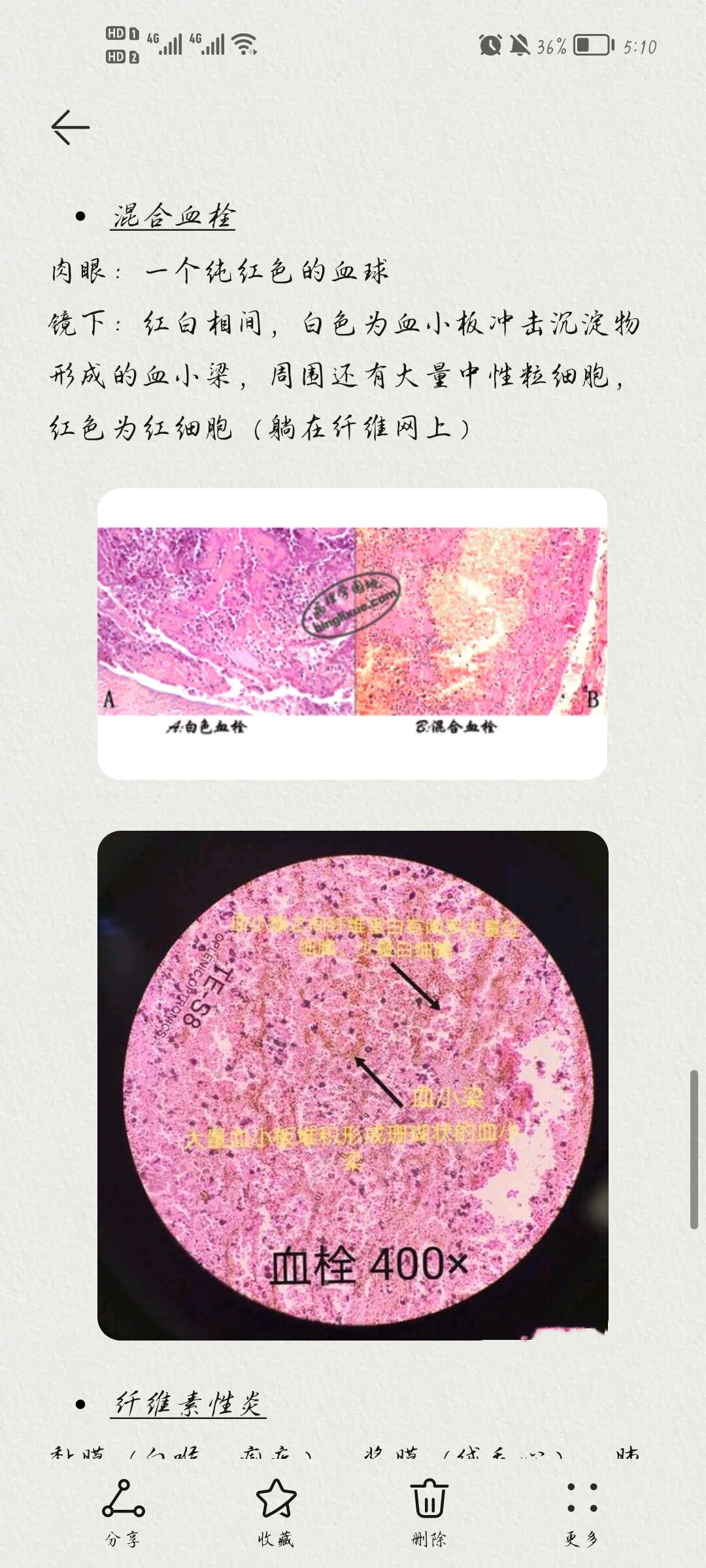还有谁不会看病理切片!