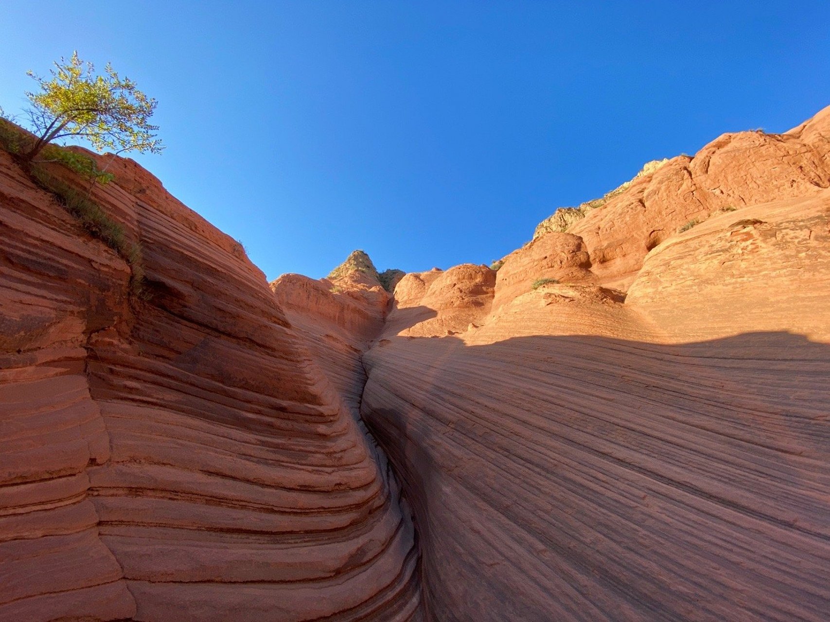 今天来陕西榆林的靖边县,这儿的波浪谷美的出乎意料!