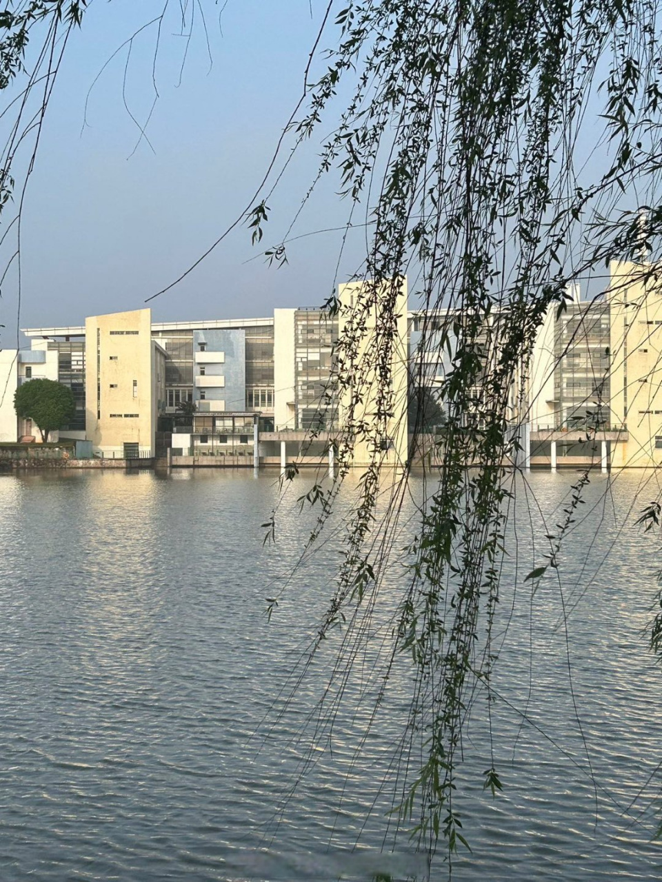 金华职业技术学院##校园随手拍##共赏大美校园#  去不了诗和远方,那