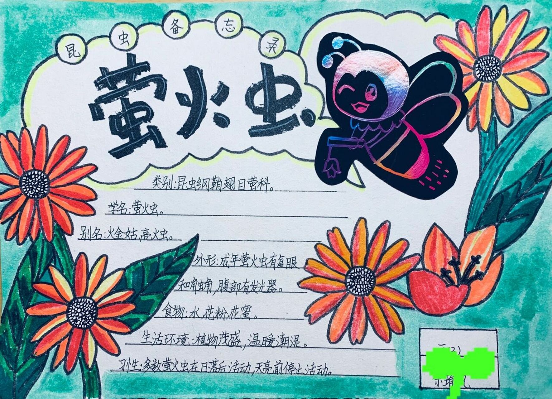 三年级下 语文 昆虫备忘录 手抄报