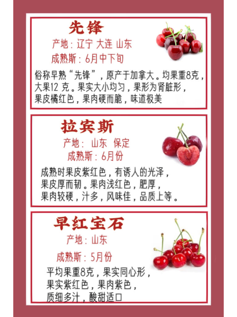 樱桃品种大全,带你了解樱桃品种