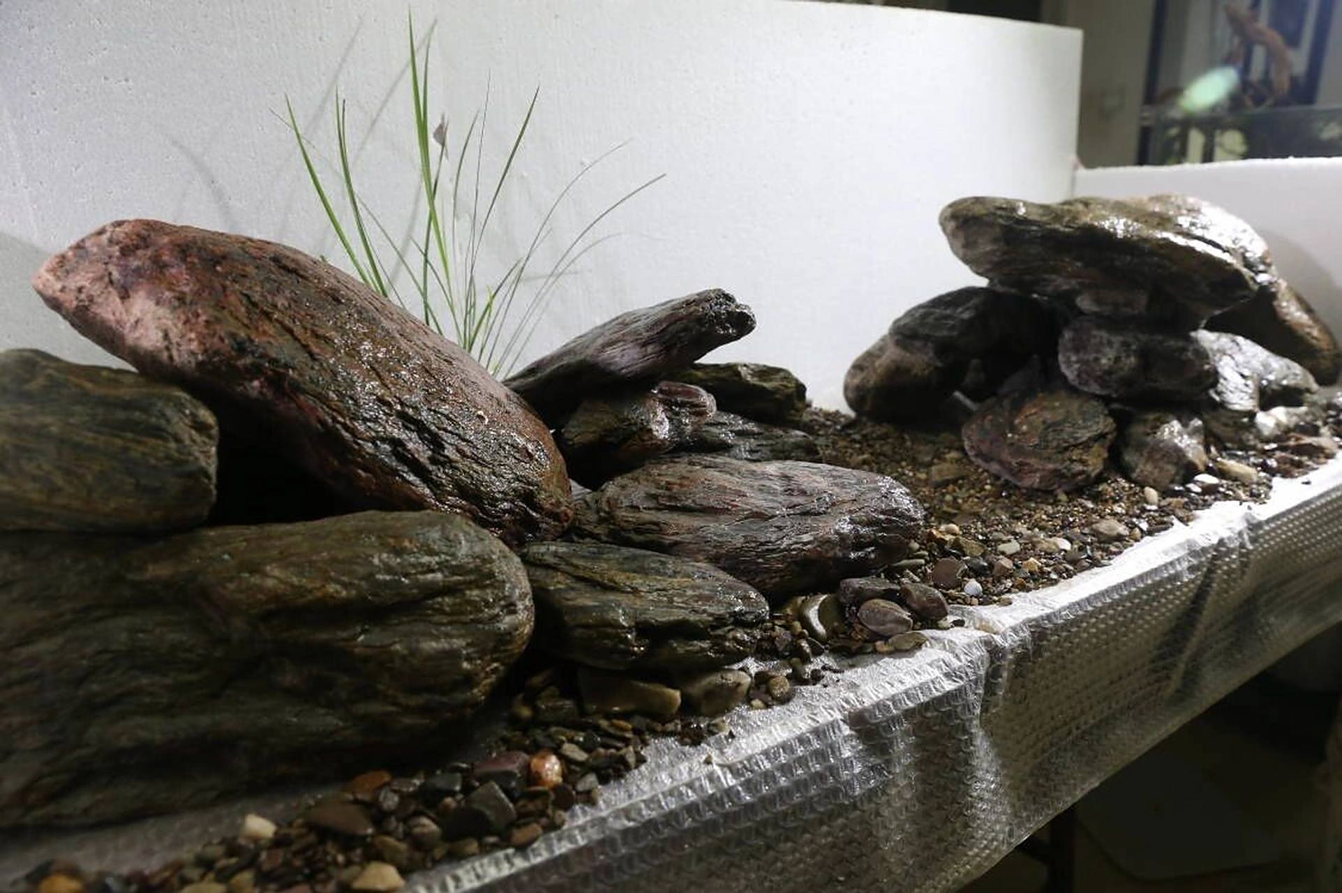 客订160cm精品溪流缸造景!