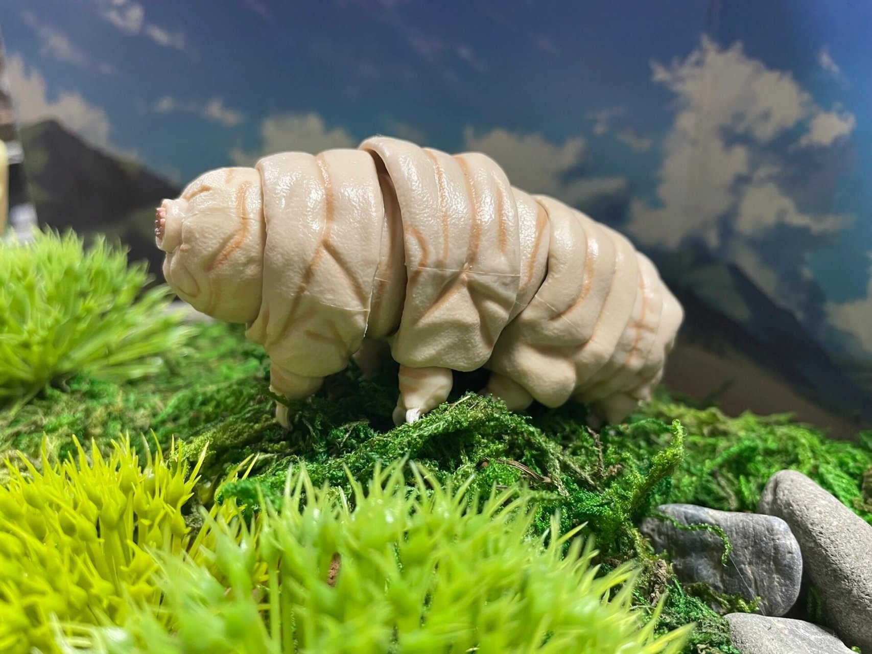 全身躯干四肢皆可动 胖熊一样的水熊虫越看越可爱?