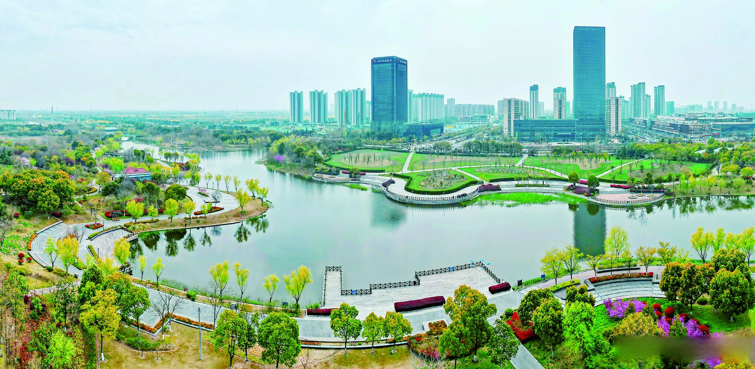 雉水春韵# 俯瞰龙游河生态公园,碧水涟漪,春景旖旎.