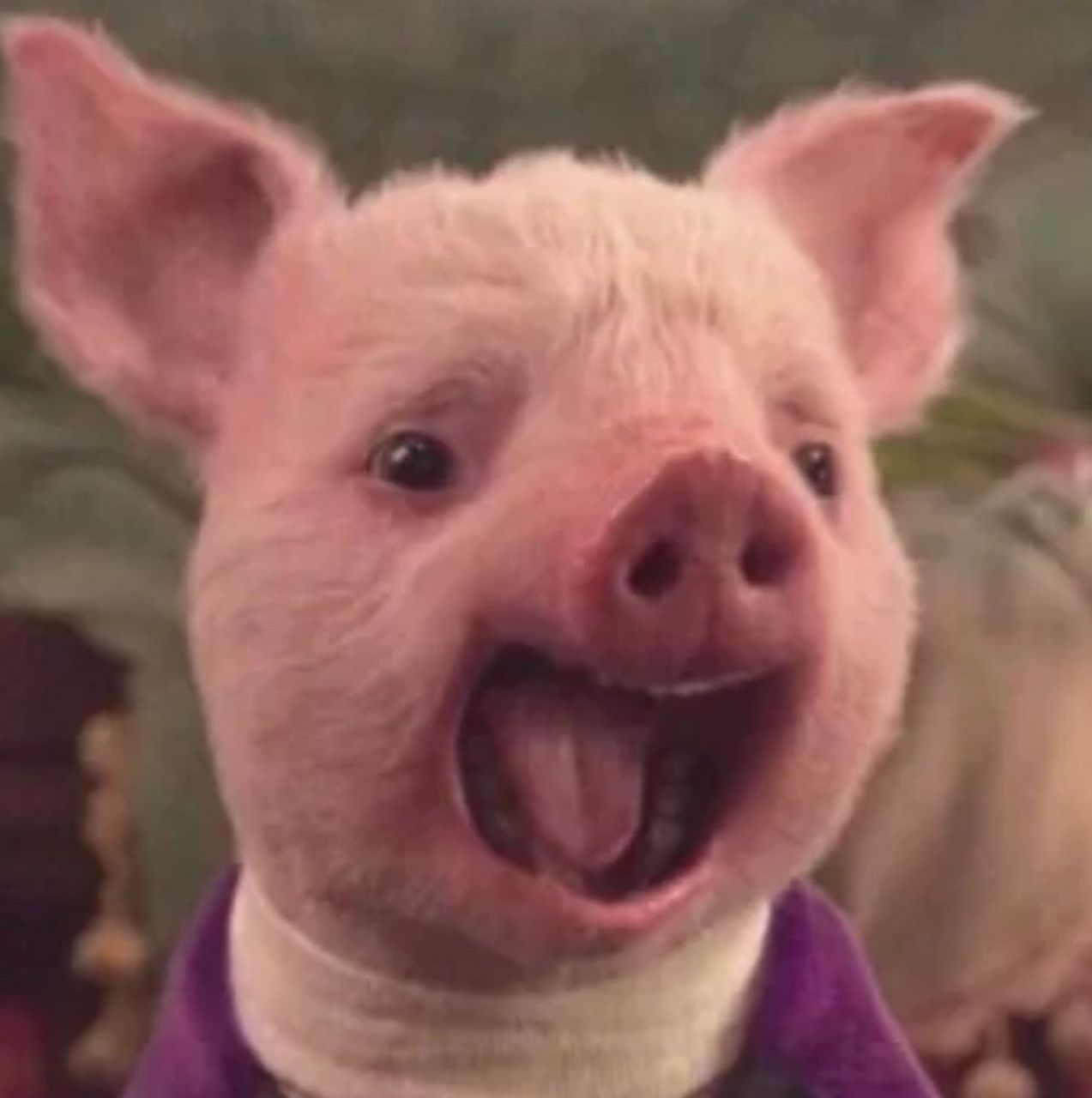 姓高,想请各大有才网友给我取个谐音梗网名