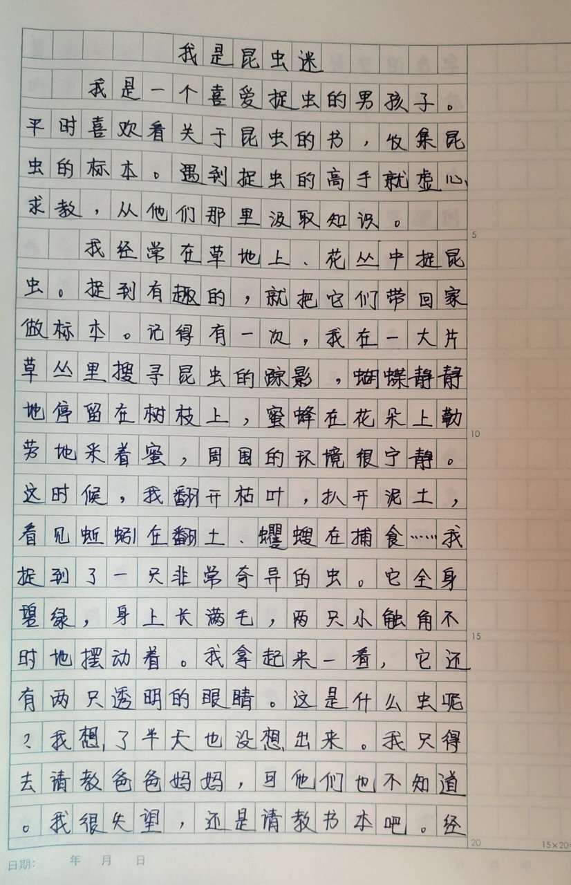 我是昆虫迷   梅梅坚持阅读作文第四天