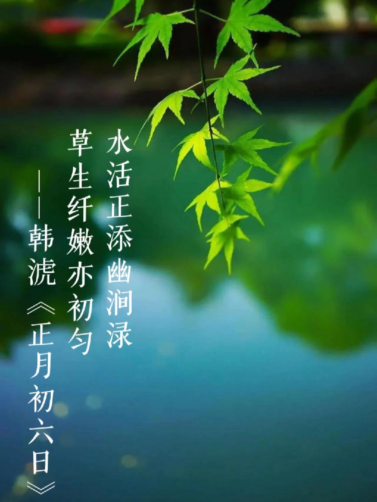 描写春天的小众诗句,忘掉万紫千红总是春吧