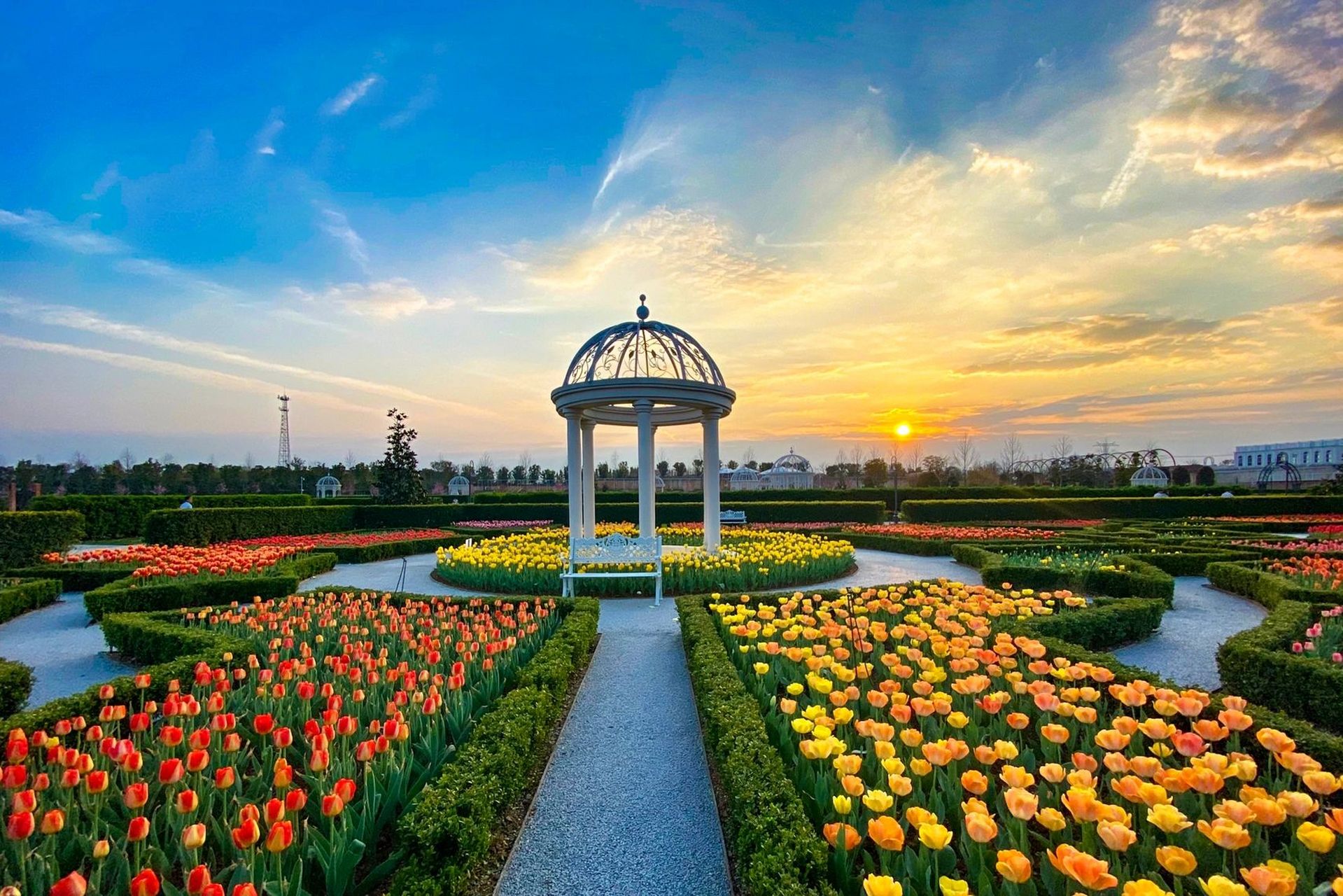 丰城爱情花卉小镇|愿你能踏遍山河 疫情,经济压力是时代吹落在每个人