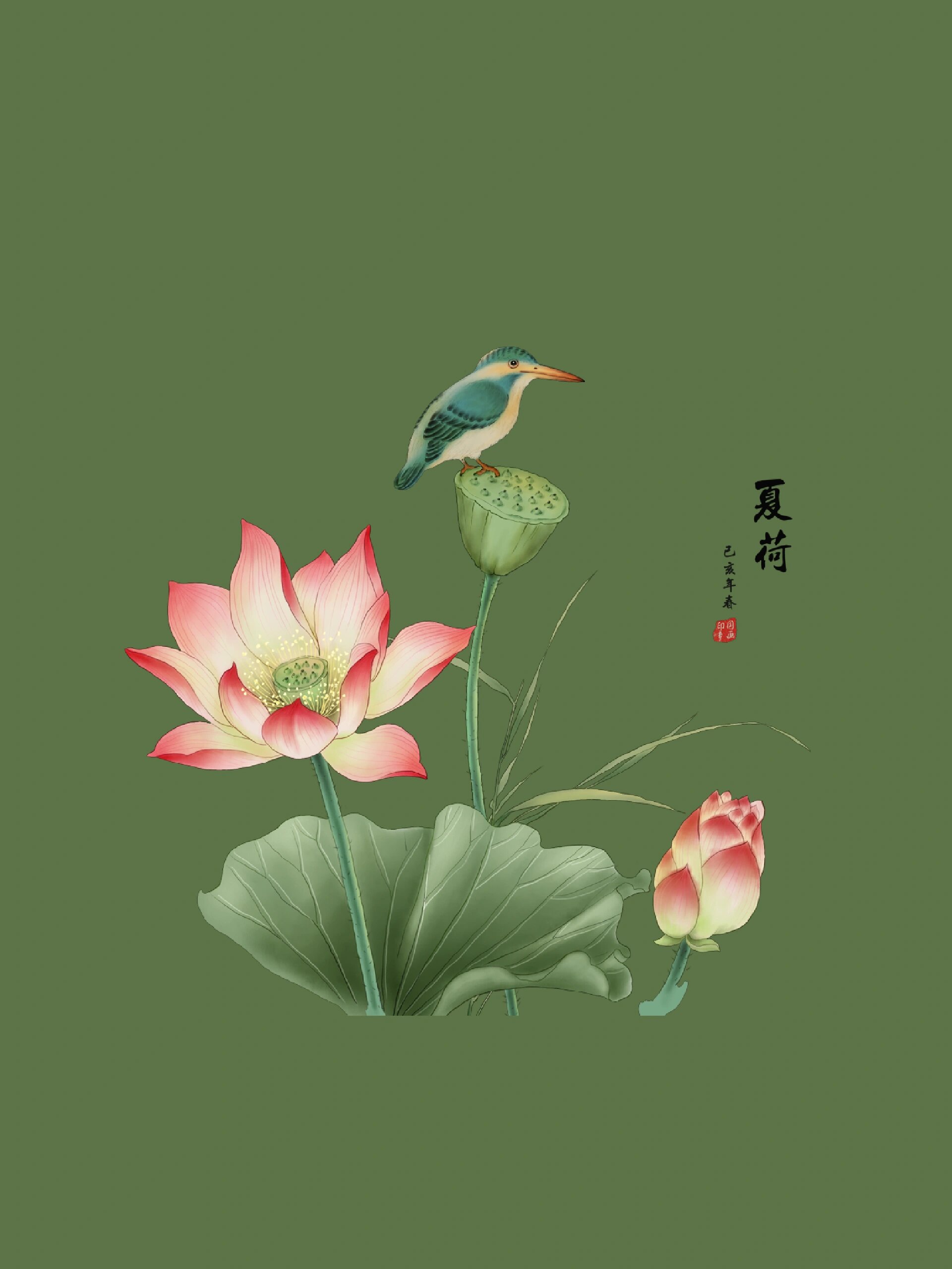 荷花免抠‖夏日荷花手绘插画图片素材①