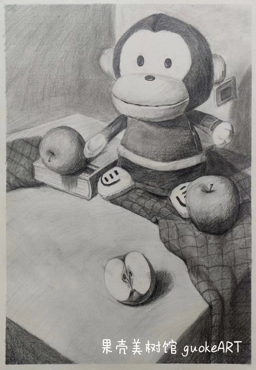 10～12岁——儿童素描作品《静物范本临摹》 素描是一切绘画技能的