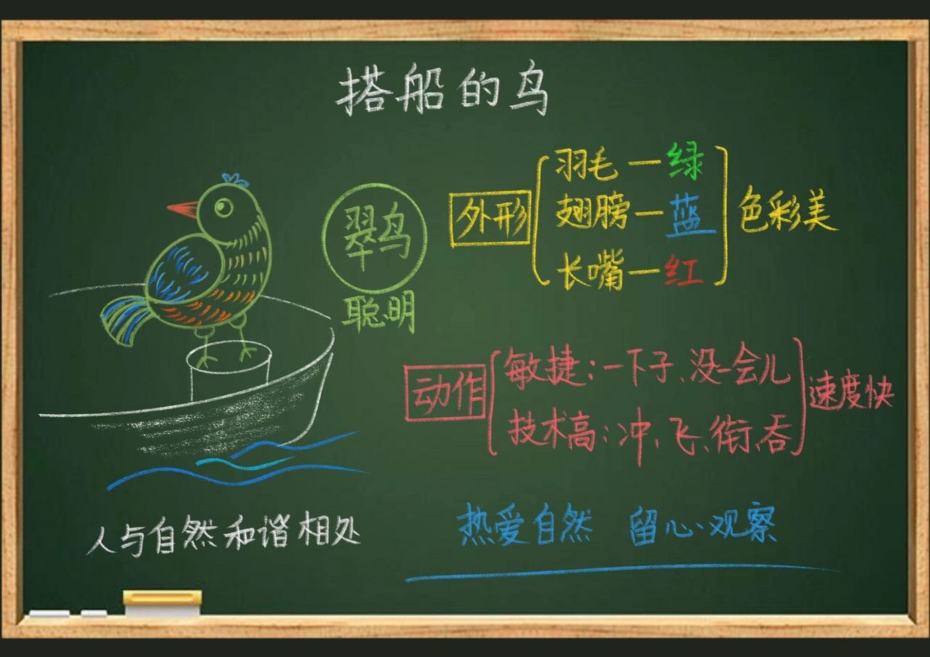 三年级上《搭船的鸟》课堂板书