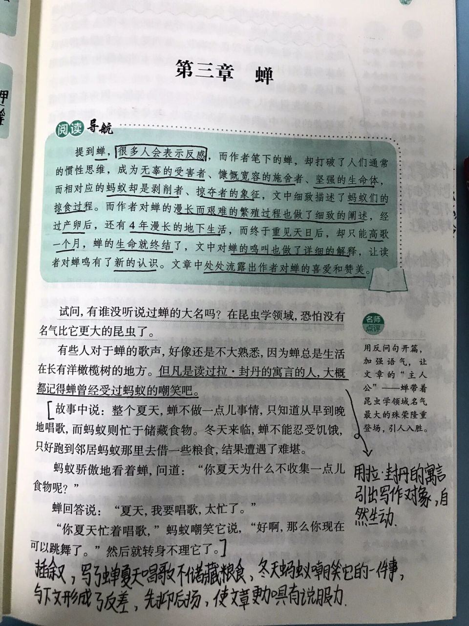 昆虫记第三章《蝉》批注