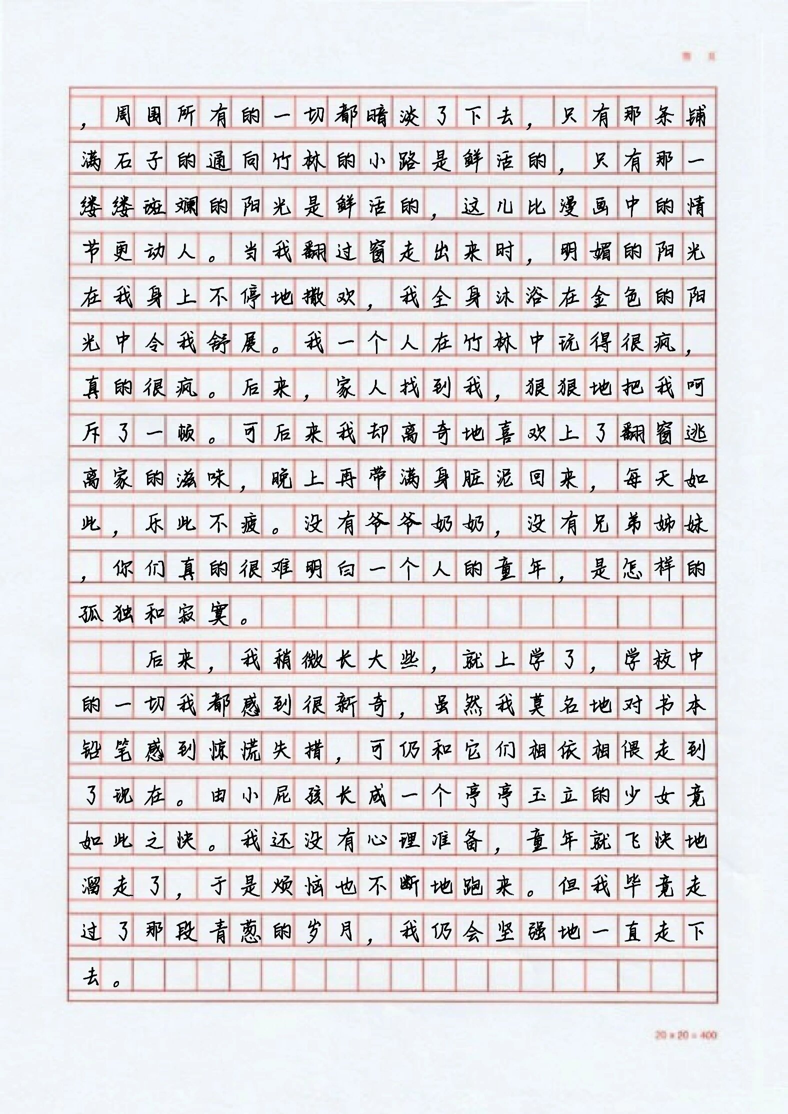 78每日作文分享《冬日里的一缕阳光》