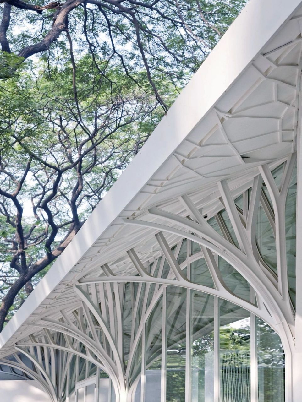 7515仿生建筑设计·树形结构|孟买tote改造 建筑设计:serie