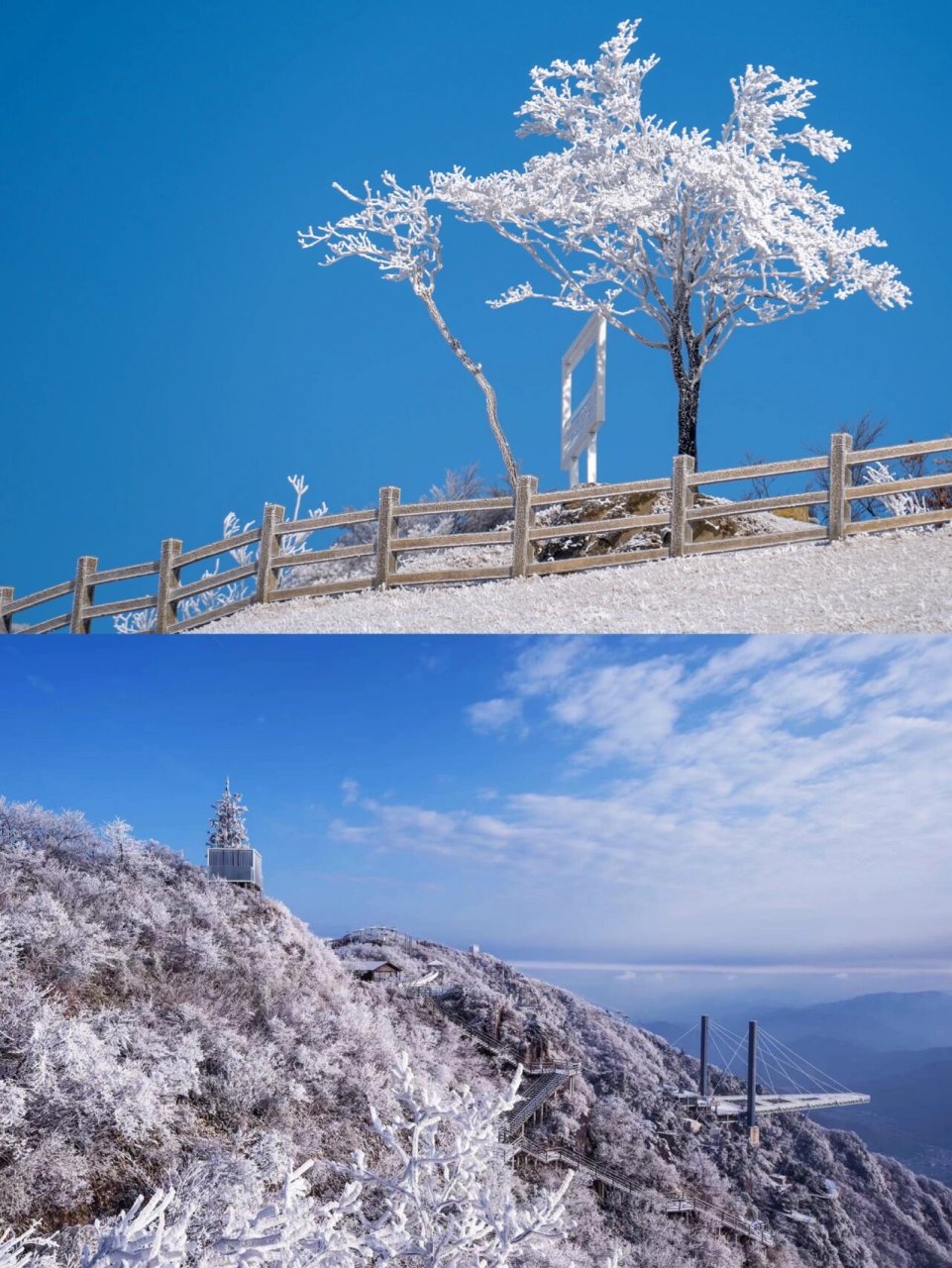 云上草原雪场图片