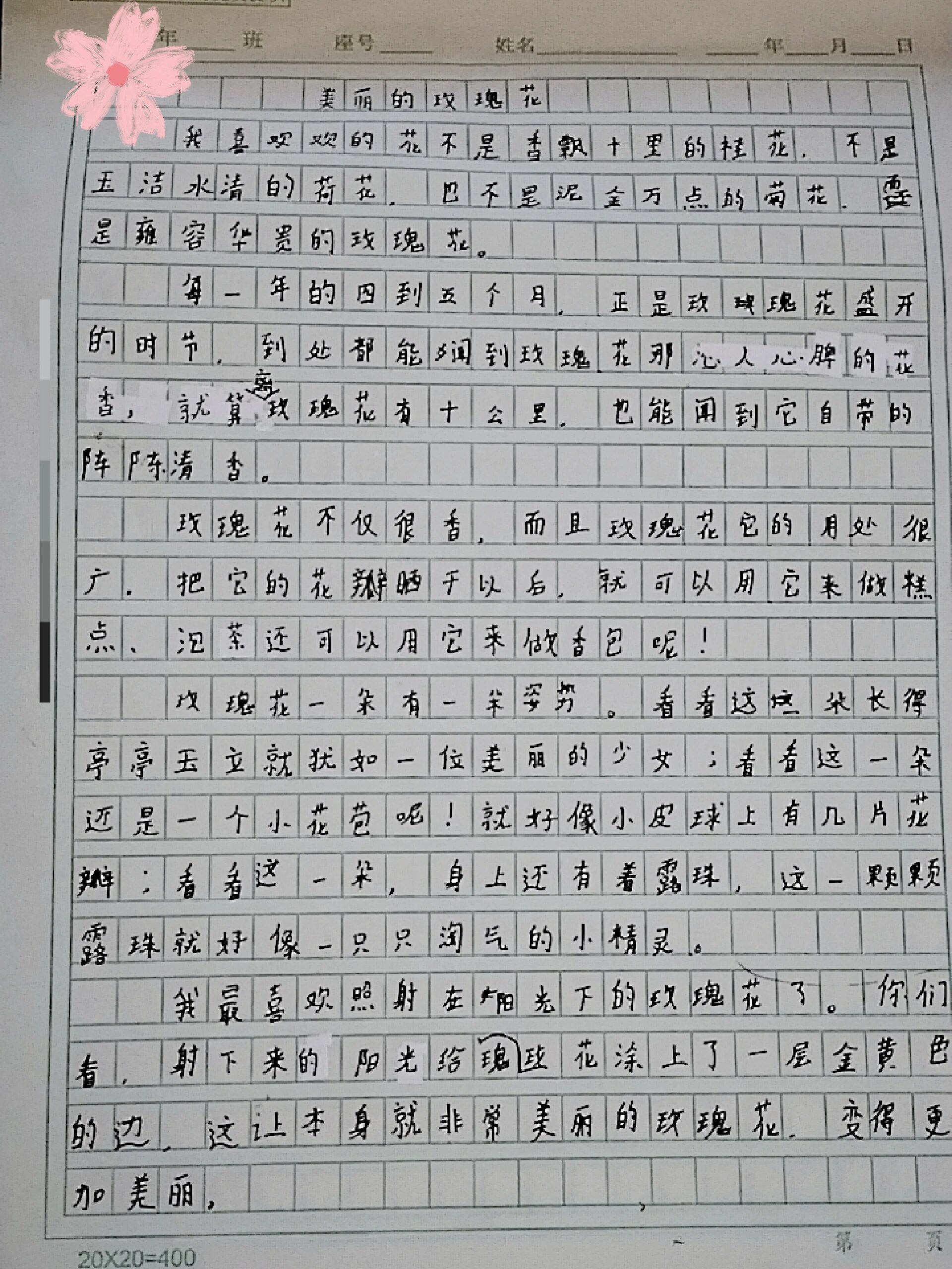 观察玫瑰花的作文四年级(观察玫瑰花的作文四年级400字)