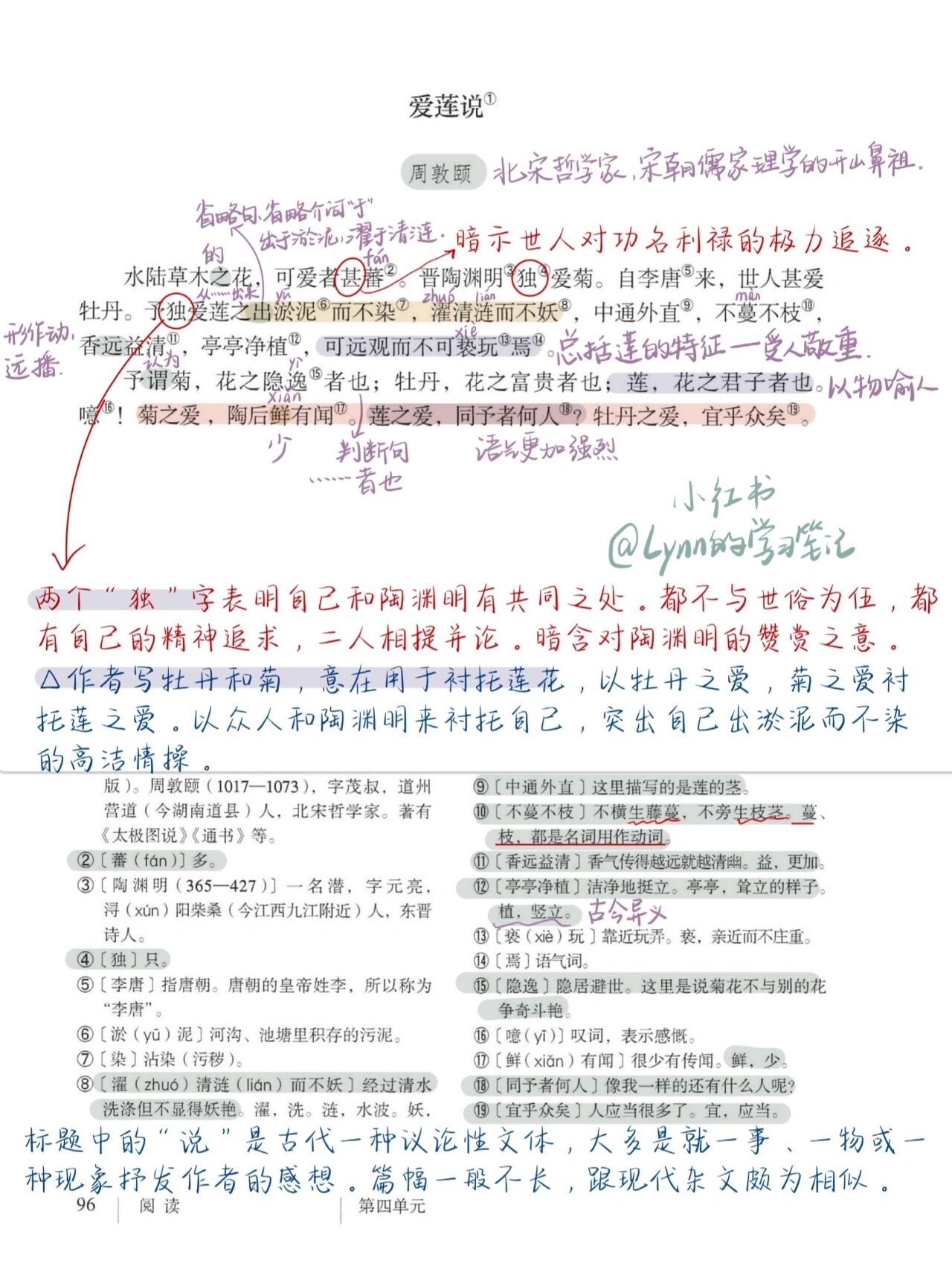 七年级下语文笔记|文言文《爱莲说