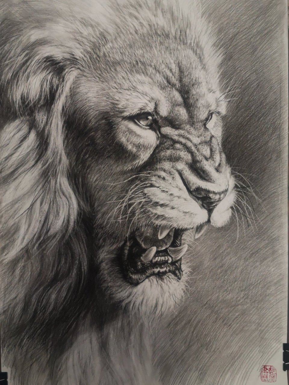 素描雄狮 素描雄狮系列三