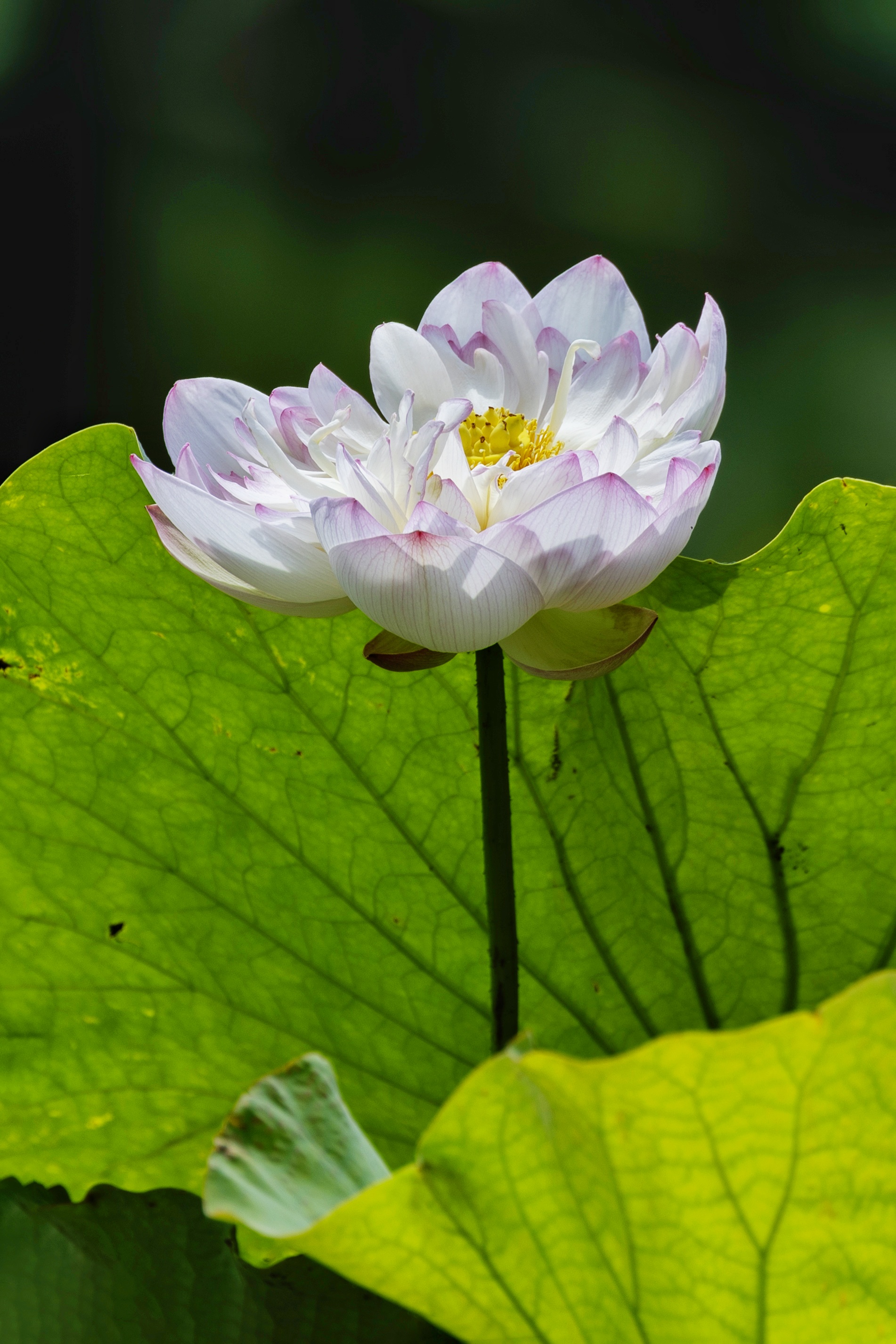 我们一起赢在夏天