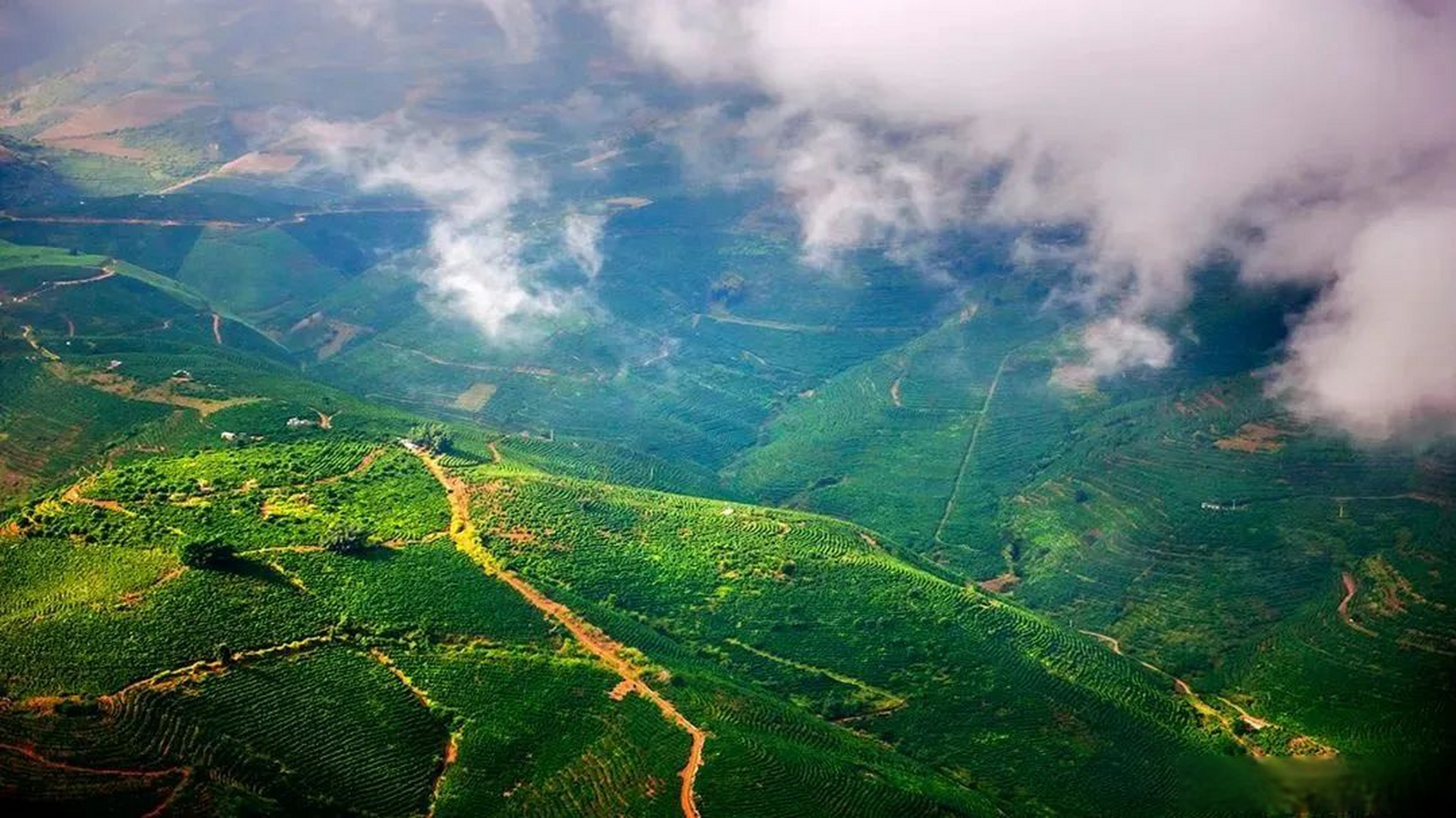 保山旅行超话 地处北纬25度黄金气候生态带的秀美潞江坝,是高黎贡山
