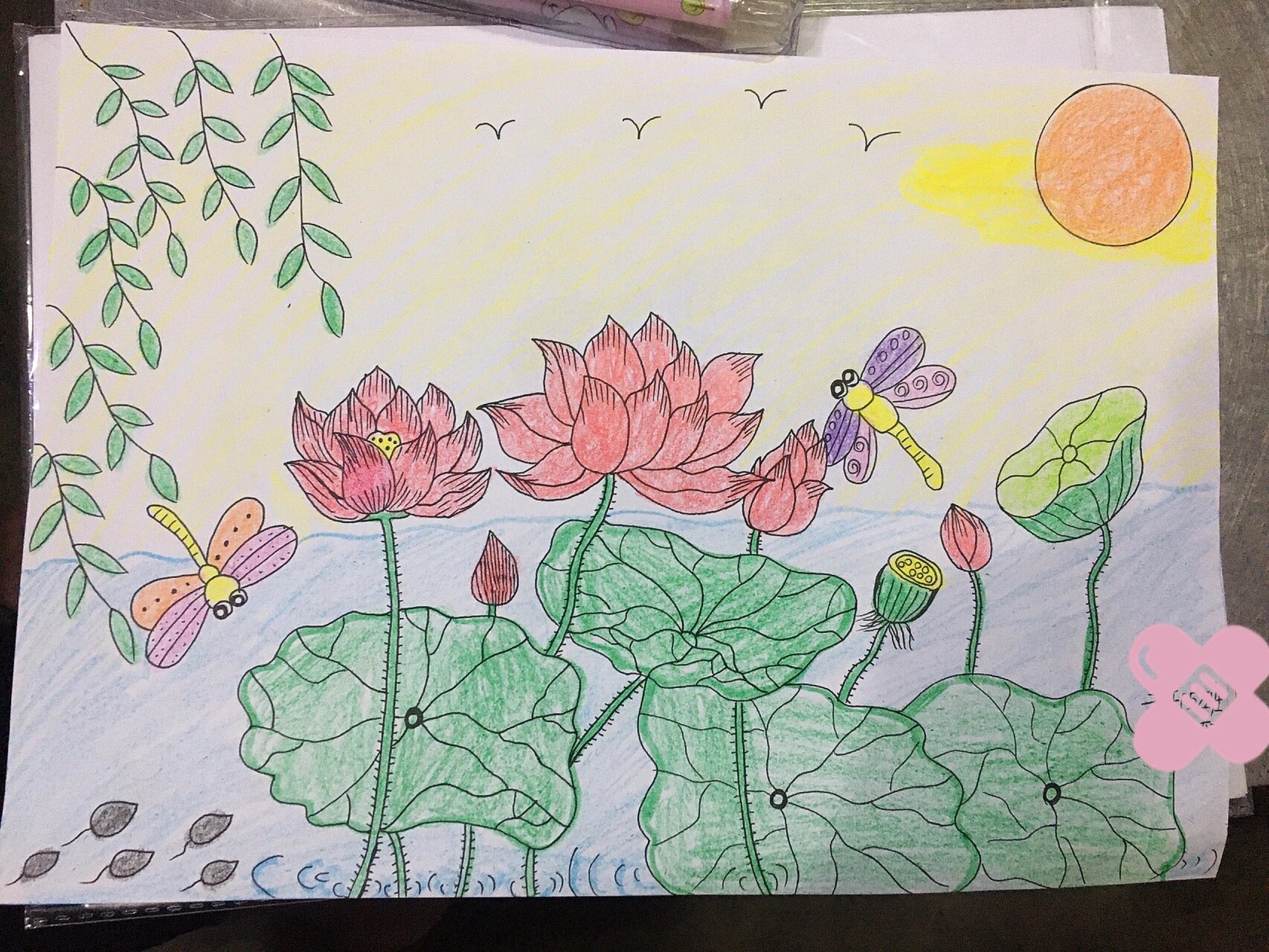 夏日li的荷花,简笔画