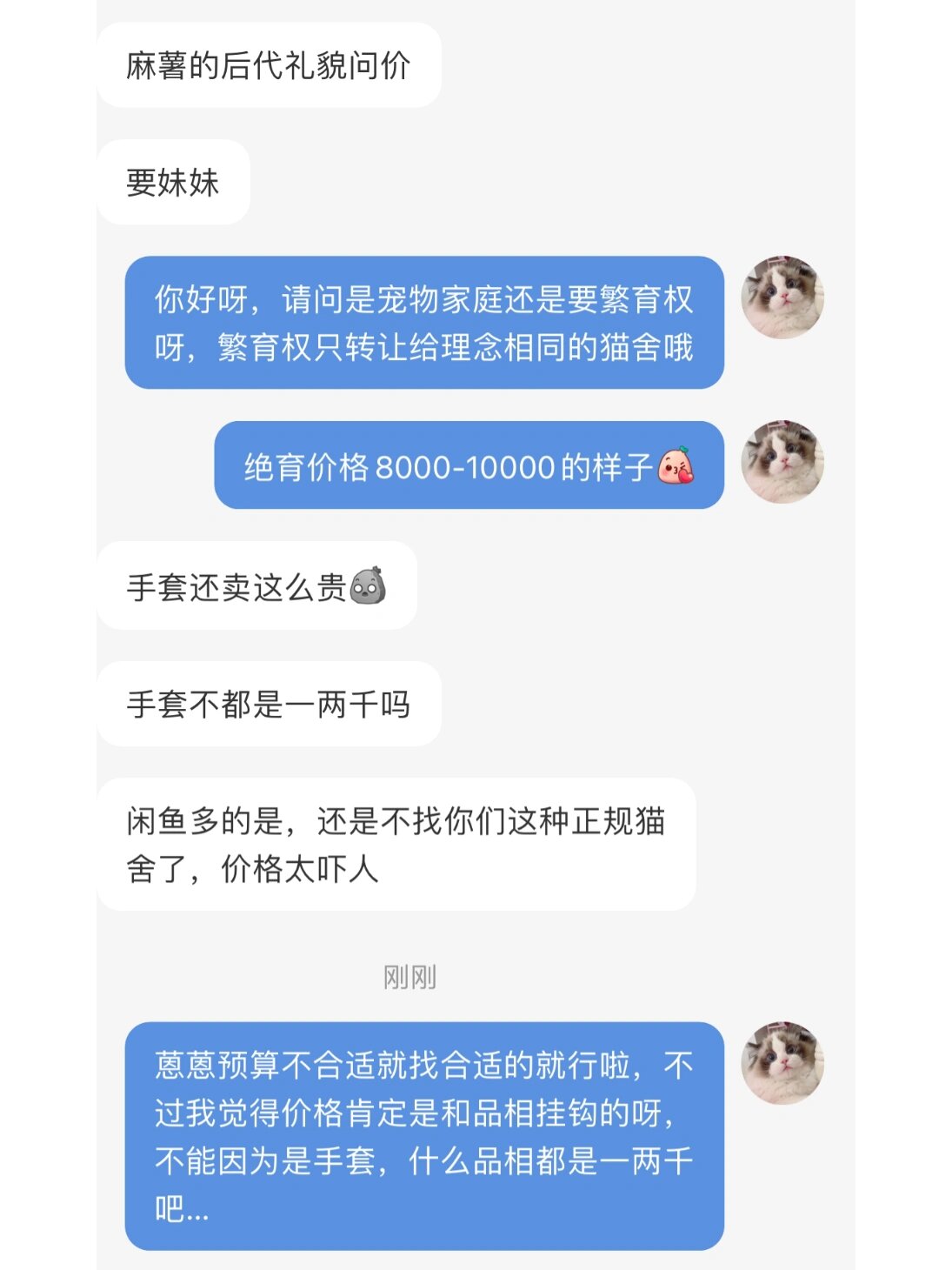 手套布偶就只值一两千