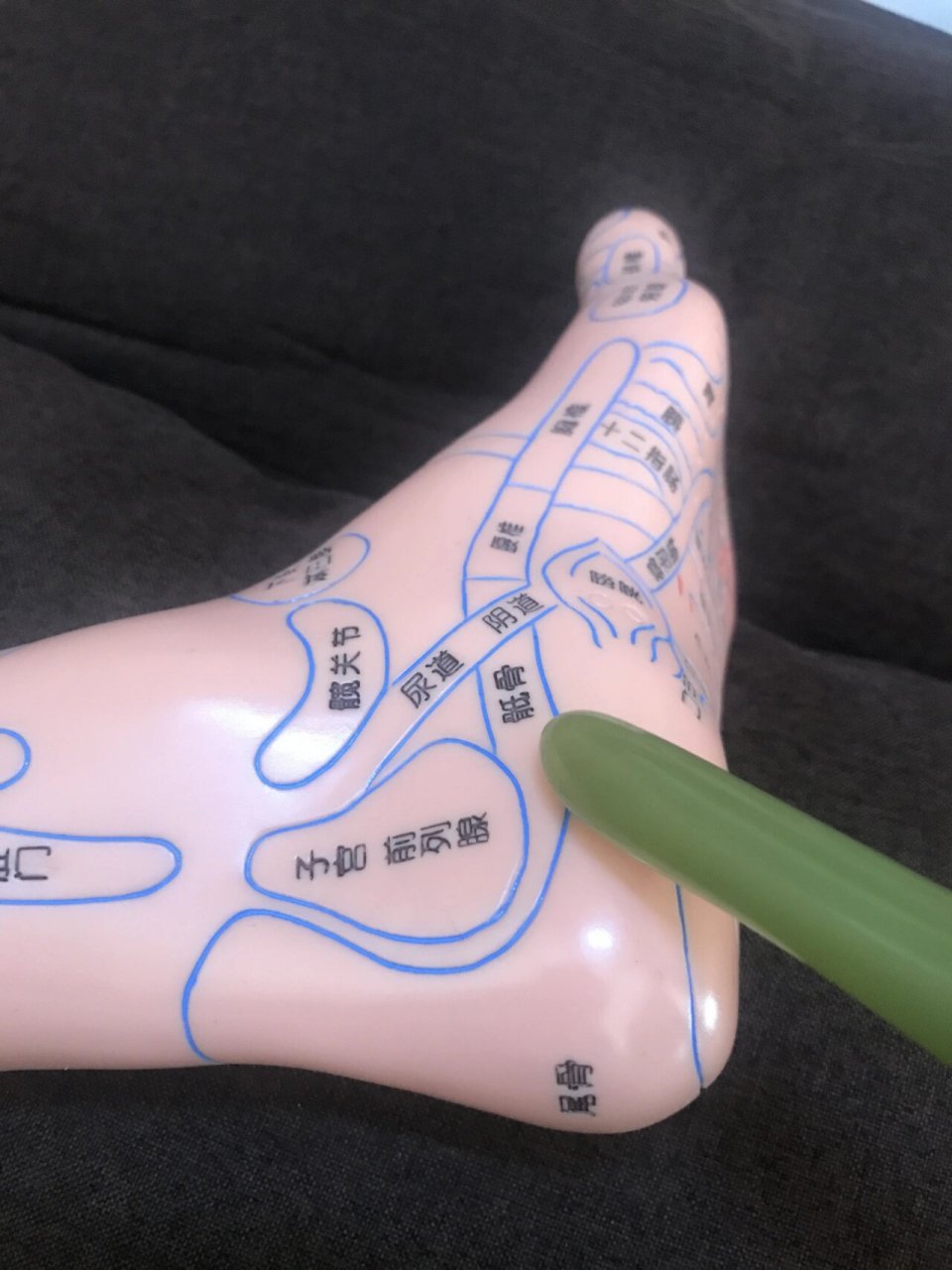 祛百病 了解反射区位置功能     骶骨及尾骨: 位置:位于腰椎反射区