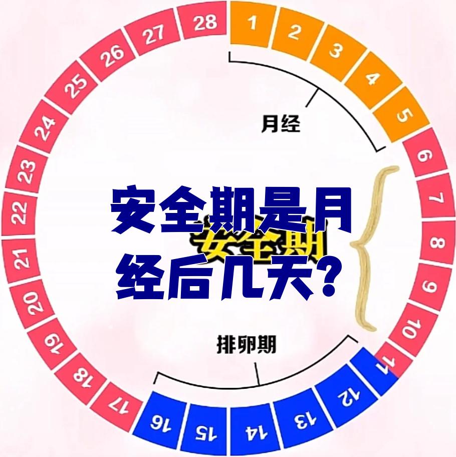 安全期分为排卵前安全期和排卵后安全期,具体时间因人而异