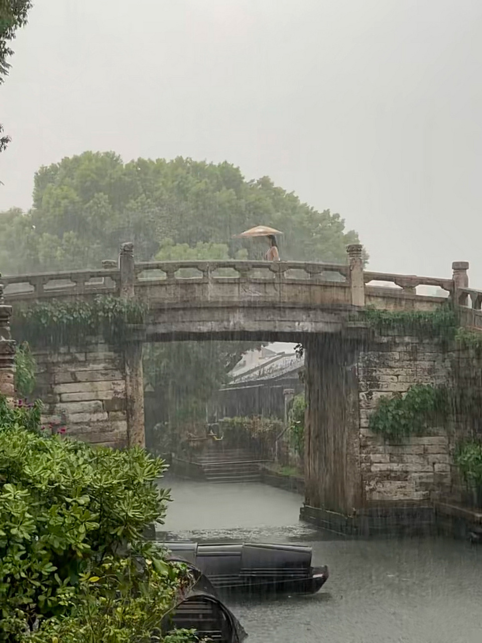 江南秋雨 | 有人躲雨,有人雨中赏雨 台风天的绍兴,你去赏雨了吗?