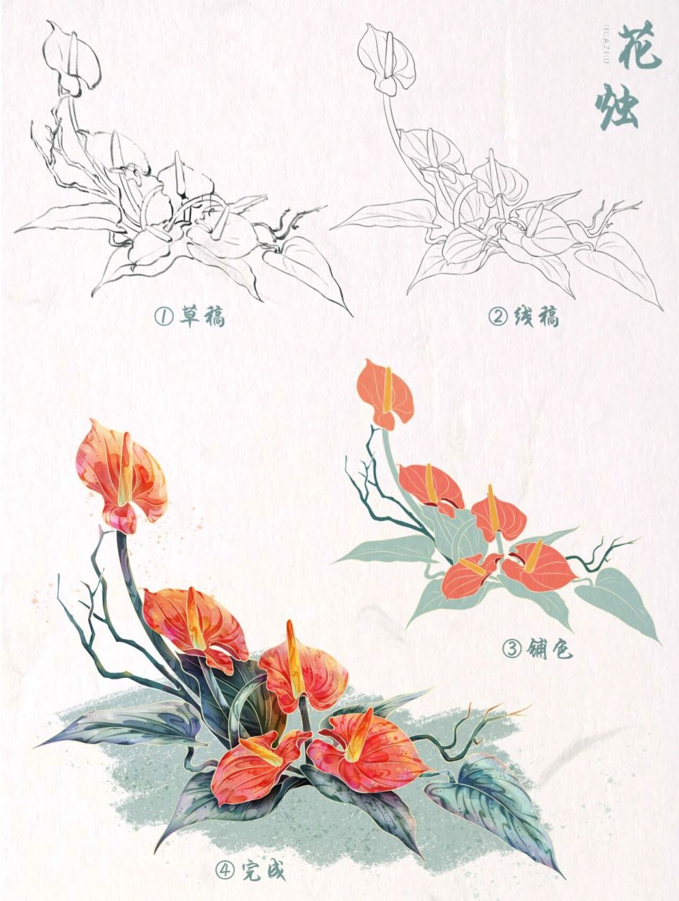 99国风植物元素花烛分解步骤|插画小教程 99工具:ps77手绘板