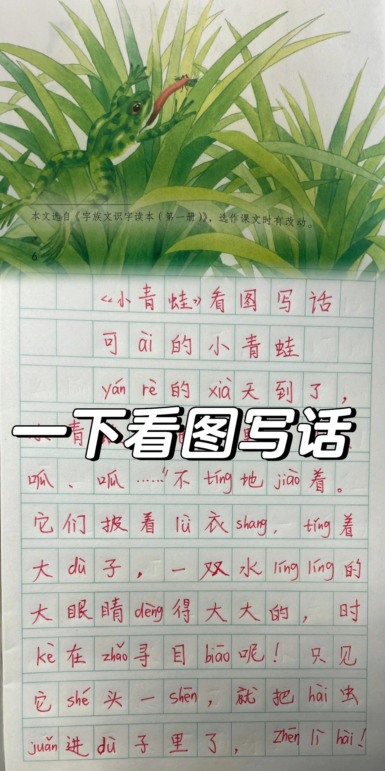 一下《小青蛙》看图写话