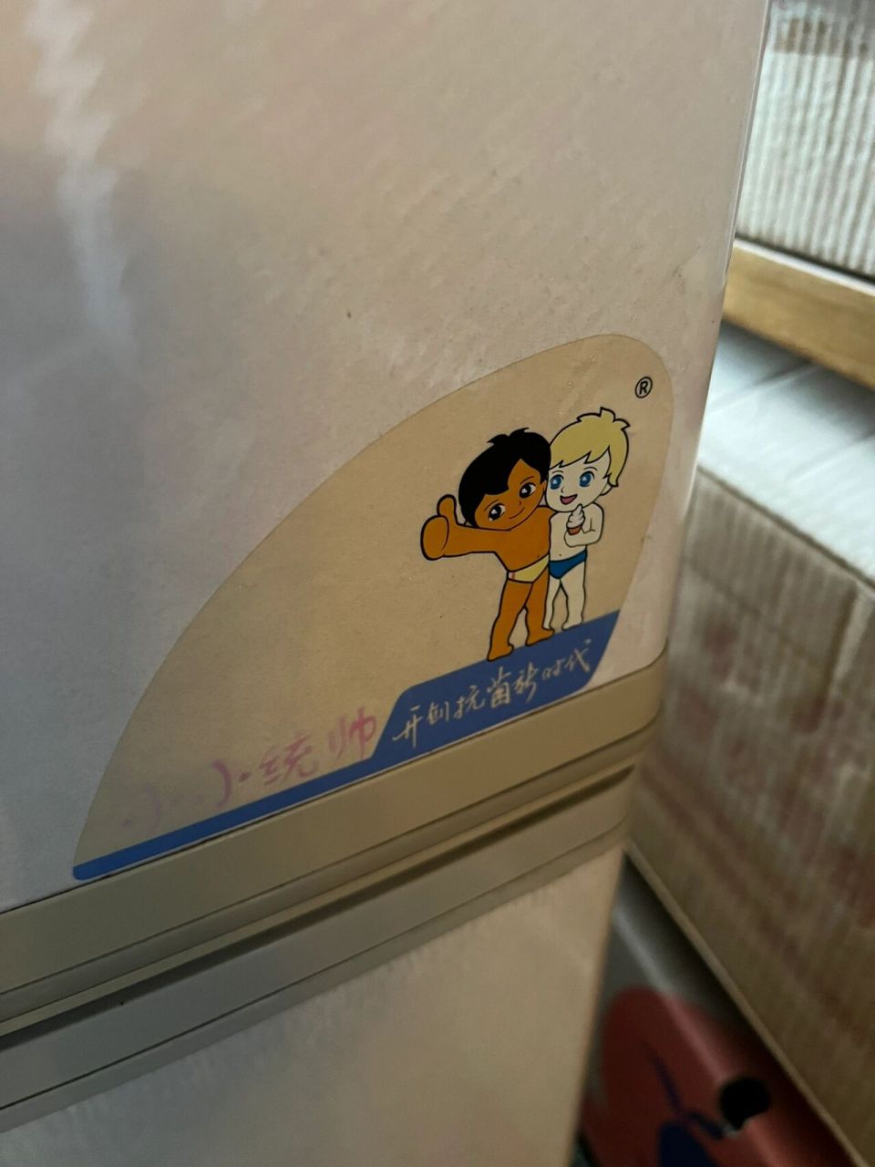 年龄比我大的古董冰箱海尔兄弟 从我记事起用到现在