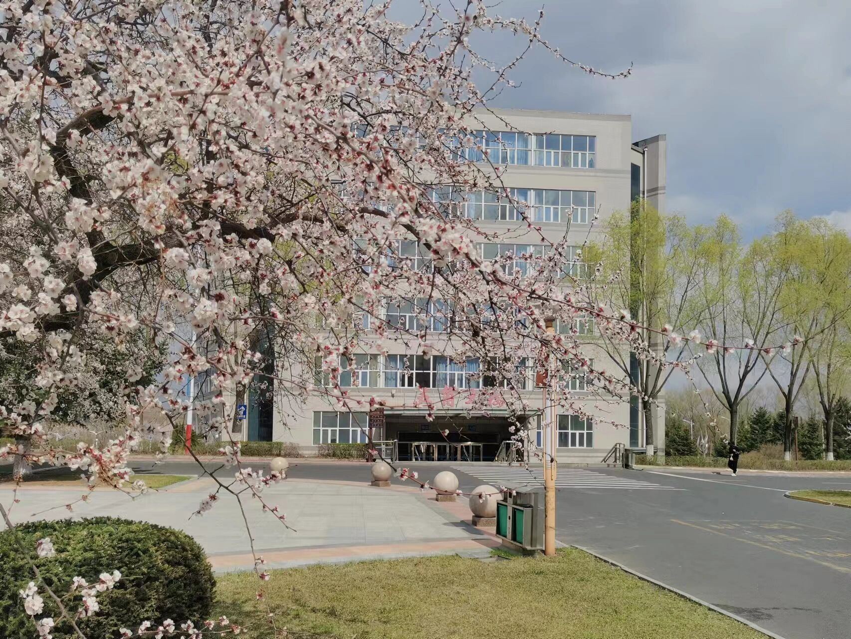 牡丹江师范学院 这个是牧师院春天的景色 一部分