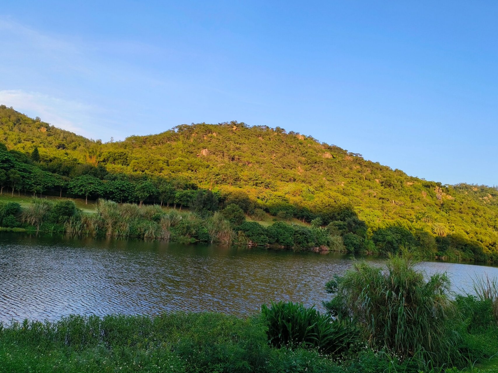 厦门上李水库公园