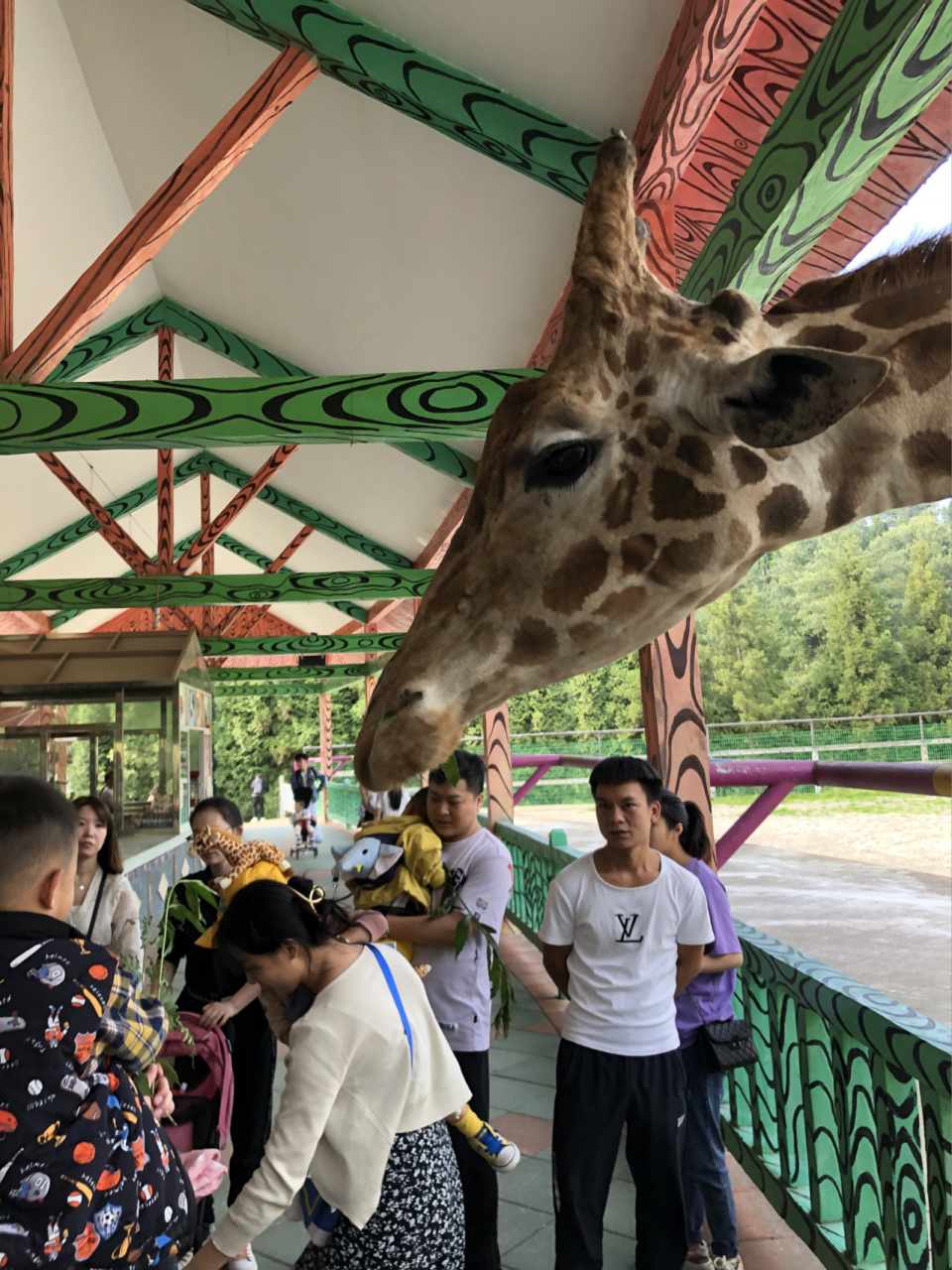 🌟贵阳周边之扎佐野生动物园🐒 🌟地点: 贵州省扎佐镇野生森林